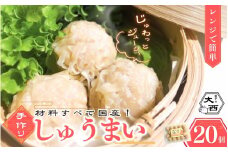 大西のしゅうまい 20個入り / 中華 和歌山 田辺市 シュウマイ 焼売 手作り 紀州うめぶた 無添加 冷凍 レンジ調理 【gyz006-1】