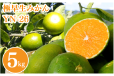 【2025年分先行予約】極早生みかん YN-26（紀のゆらら）5kg【9月上中旬以降順次発送予定】 / 和歌山県 田辺市 みかん 早生みかん 柑橘 果物【mrn004-2】