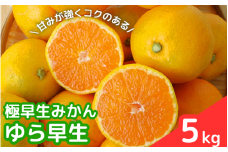【2025年分先行予約】極早生みかん ゆら早生　5kg【10月上中旬以降発送予定】 / 和歌山県 田辺市 みかん 早生みかん 柑橘【mrn006-2】