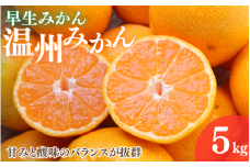 【2025年分先行予約】早生みかん 温州みかん　5kg【11月中旬以降発送予定】 / 和歌山県 田辺市 みかん 早生みかん うんしゅうみかん 柑橘【mrn008-2】