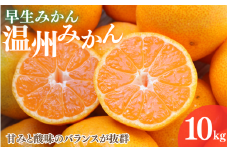 【2025年分先行予約】早生みかん 温州みかん　10kg【11月中旬以降発送予定】 / 和歌山県 田辺市 みかん 早生みかん うんしゅうみかん 柑橘【mrn009-2】