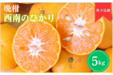 【2025年分先行予約】晩柑 西南のひかり　5kg【12月上旬以降発送予定】 / 和歌山県 田辺市 みかん 晩柑みかん 柑橘【mrn010】