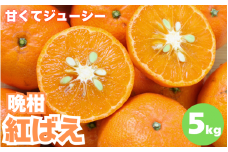 【先行予約】晩柑 紅ばえ　5kg【1月上旬以降順次発送予定】 / 和歌山県 田辺市 みかん 晩生 柑橘【mrn011-2】