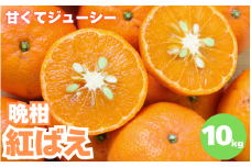 【先行予約】晩柑 紅ばえ　10kg【1月上旬以降順次発送予定】 / 和歌山県 田辺市 みかん 晩生 柑橘【mrn012-1】