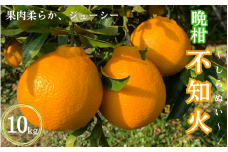 【先行予約】晩柑 不知火　10kg【2月上旬以降順次発送予定】 / 和歌山県 田辺市 みかん 晩生 柑橘【mrn016-2】