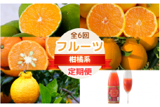 【2025年分先行予約・数量限定】フルーツ定期便（柑橘）【6回定期便】 / 和歌山県 田辺市 みかん ゆら早生 温州みかん 紅ばえ ポンカン 不知火 ブラッドオレンジ タロッコ ブラッドオレンジジュース オレンジジュース 無添加 果汁100% ストレート【mrn017-tk1】
