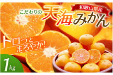 中山農園自慢 天海みかん 完熟宮川早生1kg 【先行予約】 / みかん 和歌山 ミカン フルーツ 果物 早生みかん 柑橘 田辺市 紀州田辺 甘い 【nak004】