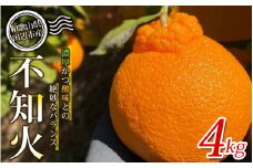 【先行予約】不知火4kg 【贈答】 ※2026年3月から順次発送予定 中山農園のこだわり不知火  / 不知火 和歌山県 しらぬい デコポン 家庭用 贈答用 フルーツ 果物 柑橘 田辺市 【nak015-1】