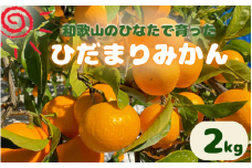 <先行予約＞日向屋 ひだまりみかん 2kg（箱込み） ※2025年12月頃に順次発送予定【期間限定・2025/12/25まで】 / 温州みかん 田辺市 みかん 期間限定 先行予約 ミカン 和歌山 紀州【hnt014】
