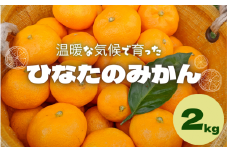 ＜先行予約＞ひなたのみかん 2kg（箱込み） ※2025年12月頃に順次発送予定【期間限定・2025/12/25まで】 / 温州みかん 田辺市 みかん 期間限定 先行予約 ミカン 和歌山 紀州【okm001】