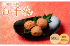 白干梅（塩分約15％）500g  / 田辺市 紀州南高梅 南高梅 梅干し 梅干 梅 うめ 肉厚 お米 おにぎり 焼酎 梅酒 健康  白干し 昔ながら すっぱい【mtz020】