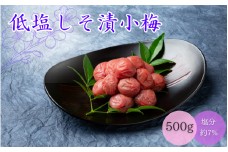 低塩しそ漬小梅（塩分約7％）500g  / 田辺市  梅干し 梅干 梅 うめ 肉厚 お米 おにぎり 焼酎 梅酒 健康  小梅 一口サイズ しそ漬 しそ梅 【mtz022】
