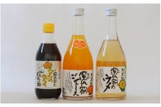 紀州産ミカンジュースと南高梅のジュースと橙ポン酢セット  季節毎の柑橘ジュース500ｍl×1本、梅ジュース500ｍl×1本、橙ポン酢360ml×1本 / 和歌山 和歌山県産 田辺市 紀州南高梅 梅  梅ジュース みかん みかんジュース 100％ジュース ぽんず ぽん酢 セット【ktr014-1】