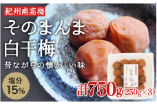 そのまんま白干梅 A級品 計750g（250g×3個） / 梅干し 梅干 梅 紀州南高梅 A級 和歌山 和歌山県産 田辺市 南高梅 白干し梅 無添加 しょっぱい梅干し 昔ながらの梅干し なつかしい【kfo015-1】