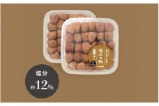 【ご褒美梅】山森農園の 梅干し「魔法の梅」 計1kg（500g×2） 【塩分約12％】 土と水にこだわっています 贈答にも / 紀州南高梅 和歌山 田辺市 ミネラル水 梅 梅干 ウメ うめ うめぼし 肉厚 ギフト ご家庭 完熟【ymm005-1】