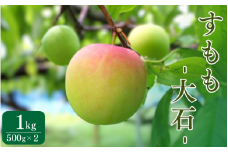 先行予約 すもも（大石）1kg ※5月下旬～6月中旬頃に順次発送予定【期間限定・2025/5/31まで】 / スモモ お取り寄せ 期間限定 夏 フルーツ 果物 和歌山県 田辺市【mtm010-1】