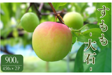 先行予約 すもも（大石）900g（450g×2） ※5月下旬～6月中旬頃に順次発送予定【期間限定・2026/5/31まで】 / スモモ お取り寄せ 期間限定 夏 フルーツ 果物 和歌山県 田辺市【mtm010-2】