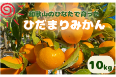 ＜先行予約＞日向屋 ひだまりみかん　10kg ※2024年12月頃に順次発送予定【期間限定・2024/12/25まで】  / 田辺市 みかん 期間限定 先行予約 ミカン 和歌山 紀州【hnt027】