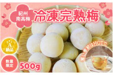 【数量限定】紀州南高梅　冷凍完熟梅2L～3Lサイズ 500g / 田辺市 南高梅 梅 梅酒 梅ジュース 梅シロップ 梅ジャム A級品【mry006】