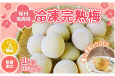 【数量限定】紀州南高梅　冷凍完熟梅2L～3Lサイズ 500g×2 / 田辺市 南高梅 梅 梅酒 梅ジュース 梅シロップ 梅ジャム A級品【mry007】