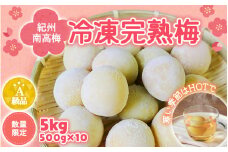 【数量限定】紀州南高梅　冷凍完熟梅2L～3Lサイズ 500g×10 / 田辺市 南高梅 梅 梅酒 梅ジュース 梅シロップ 梅ジャム A級品【mry008】