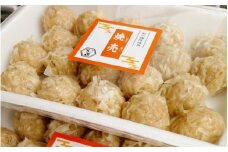 【3カ月定期便】大西のしゅうまいセット 20個入り×2パック 計120個 / 和歌山 田辺市 シュウマイ 焼売 手作り 紀州うめぶた 無添加 冷凍 レンジ調理 【gyz011-tk1】