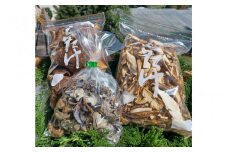 干ししいたけ・きざみしいたけ・干しきくらげのセット / 肉厚 乾燥 きのこ 出汁 だし シイタケ 椎茸 キクラゲ 和歌山県 田辺市【mas004】