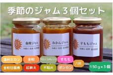 季節のジャム150g×3個セット / 温州みかん  金柑 三宝柑 すもも セット 詰め合わせ 甘露煮 柑橘 不知火 べにばえ ポンカン 和歌山 田辺市【ike002】