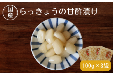 らっきょうの甘酢漬け100g×3 / 無添加 漬物 ごはんのおとも 惣菜 和歌山 田辺市【ksn004】