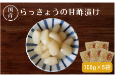 らっきょうの甘酢漬け100g×5 / 無添加 漬物 ごはんのおとも 惣菜 和歌山 田辺市【ksn005】