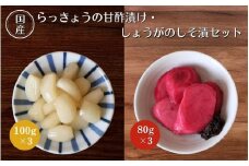 らっきょうの甘酢漬け100g×3・しょうがのしそ漬80g×3セット / 無添加 漬物 ごはんのおとも 惣菜 和歌山 田辺市【ksn008-1】