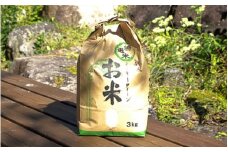 ミルキークイーン 3kg  (3kg×1袋) / 田辺市 お米 米 ご飯 ミルキークイーン【nts025-1】