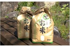 ミルキークイーン　6kg  (3kg×2袋) / 田辺市 お米 米 ご飯 ミルキークイーン【nts026-1】