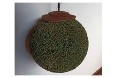 【プレミア和歌山認定品】 龍神の杉玉（小） / 和歌山県 田辺市 龍神村 酒林 飾り インテリア【rjm002】