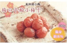 梅の年輪小梅干 380g 塩分約8％ / 和歌山 田辺市 梅 梅干 紀州南高梅 南高梅 うめ 肉厚 お米 おにぎり 焼酎 梅酒 健康 はちみつ梅【mrs021】