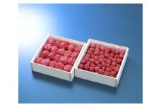 梅の年輪セット（木箱入り） 大梅380g 小梅350ｇ 塩分約8％ / 和歌山 田辺市 梅 梅干 紀州南高梅 南高梅 うめ 肉厚 お米 おにぎり 焼酎 梅酒 健康 合成保存料不使用 【mrs028】