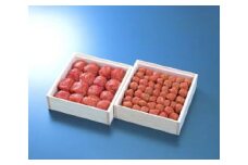 梅富久良セット（木箱入り） 大梅380g（塩分約6％） 小梅350ｇ（ 塩分約8％） / 和歌山 田辺市 梅 梅干 紀州南高梅 南高梅 うめ 肉厚 お米 おにぎり 焼酎 梅酒 健康 合成保存料不使用 【mrs029】