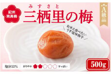 紀州南高梅　三栖里の梅（塩分10%）　500g  / 田辺市 紀州南高梅 南高梅 梅干し 梅干 梅  肉厚 お米 おにぎり 焼酎 梅酒 健康 【ske021】