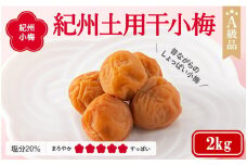 紀州小梅　紀州土用干小梅（塩分20％）　2kg  / 田辺市 紀州南高梅 南高梅 梅干し 梅干 梅  肉厚 お米 おにぎり 焼酎 梅酒 健康 小梅 【ske040-1】
