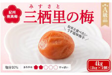 紀州南高梅　三栖里の梅（塩分10%）　4kg(2kg×2個）  / 田辺市 紀州南高梅 南高梅 梅干し 梅干 梅  肉厚 お米 おにぎり 焼酎 梅酒 健康 【ske041-1】