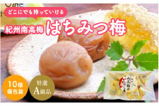 紀州南高梅 はちみつ梅（個包装）10個入り / 紀州南高梅 南高梅 梅干し 梅干 梅 うめ 和歌山 田辺市 肉厚 お米 おにぎり 焼酎 梅酒 健康 はちみつ梅 個包装【nkn014-1】
