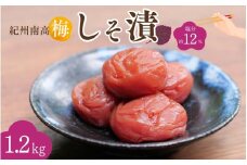 紀州南高梅 しそ漬（塩分約12％）1.2kg（600g×2）  / 紀州南高梅 南高梅 梅干し 梅干 梅 うめ 和歌山 田辺市 肉厚 お米 おにぎり 焼酎 梅酒 健康 しそ梅 産地直送【nkn018-1】