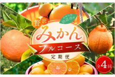 【4回定期便】和歌山 贅沢みかんフルコース （宮川早生みかん・ポンカン・紅八朔・不知火） ※2025年12月より発送（期間限定・12/20まで受付） / 和歌山県 ミカン フルーツ 果物 柑橘 田辺市 みかん くだもの【nak030-tk】