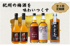 【3カ月定期便】紀州の梅酒を味わいつくす定期便（紀州梅酒・HAMADA・上芳養） / 紀州南高梅 南高梅 梅酒 お酒 アルコール 和歌山 田辺市【tnb001】