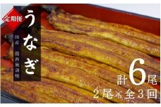 【3カ月定期便】国産うなぎ蒲焼（２本）タレ付き×３回 /  定期便 毎月お届け 和歌山 田辺市 国産 国産うなぎ 国産鰻 うなぎ 鰻 鰻丼 うな丼 土用の丑の日 冷凍【ots024-tk】