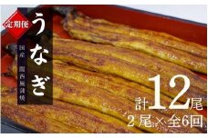 【6カ月定期便】国産うなぎ蒲焼（２本）タレ付き×6回 /  定期便 毎月お届け 和歌山 田辺市 国産 国産うなぎ 国産鰻 うなぎ 鰻 鰻丼 うな丼 土用の丑の日 冷凍【ots025-tk】