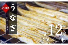【6カ月定期便】国産うなぎ白焼（2本）×6回 特製醤油・わさび付 /  定期便 毎月お届け 和歌山 田辺市 国産 国産うなぎ 国産鰻 うなぎ 鰻 鰻丼 うな丼 土用の丑の日【ots028-tk】