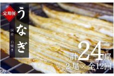 【12カ月定期便】国産うなぎ白焼（2本）×12回 特製醤油・わさび付 /  定期便 毎月お届け 和歌山 田辺市 国産 国産うなぎ 国産鰻 うなぎ 鰻 鰻丼 うな丼 土用の丑の日【ots029-tk】