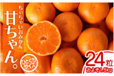 【2025年先行予約】ちぃちゃいおみかん『甘ちゃん。』【小玉みかん】24個入 約1.5kg ※2025年12月上旬～下旬頃に順次発送予定【期間限定・2025/12/05まで】 / みかん ミカン 柑橘 温州みかん 早生温州ミカン 和歌山県 小玉 小粒【ngm013】