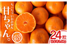 【2025年先行予約】ちぃちゃいおみかん『甘ちゃん。』【小玉みかん】24個入 約1.5kg ※2025年12月上旬～下旬頃に順次発送予定【期間限定・2025/12/05まで】 / みかん ミカン 柑橘 温州みかん 早生温州ミカン 和歌山県 小玉 小粒【ngm013】